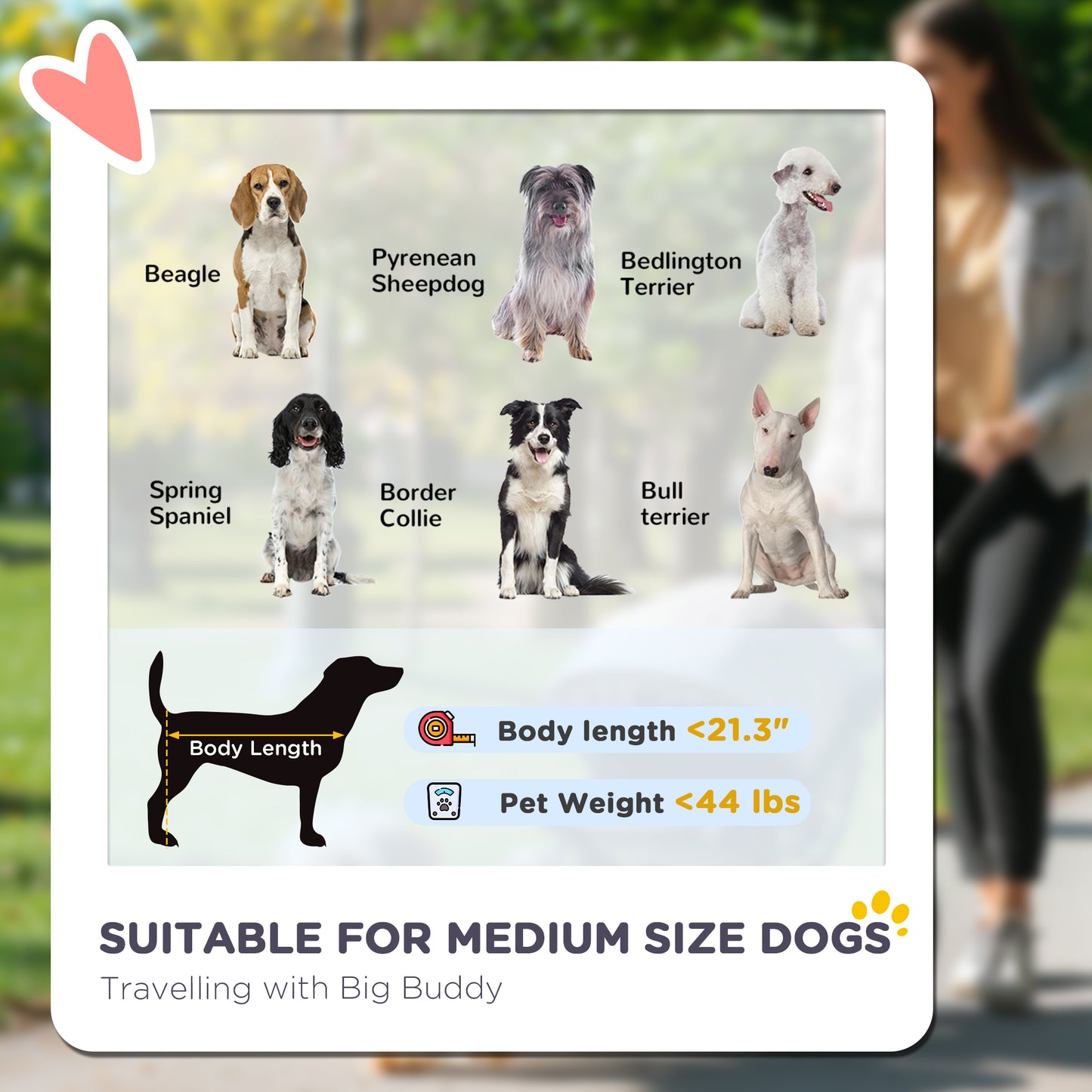 3 Wheels Dog Stroller w/ One-Hand Fold, Rubber Wheels, Storage Bag, Soft Cushion, for Small & Medium Dogs, Blue